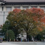 上野の国立博物館の正倉院展は入館するのに２時間かかりました。　・冬空を二時間待ちて見る展示（和良）