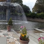 昭和記念公園では大きな噴水の前にコスモスの鉢が並んでいました。・噴水を背にコスモスの鉢並ぶ(和良)