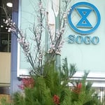 デパートの門松は堂々としていて高々と咲く梅の花が目に留まりました。　・門松の高々と咲く梅の花（和良）