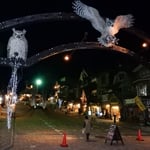 阿寒湖温泉のホテルの近くにアイヌコタンがありました。　　　　　　　　・夏の夜のアイヌコタンの森として(和良)