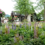 小さなヨーロッパにふさわしいオルゴールの森の庭園でした。　　　　　　・瀟洒なる洋館の庭ジキタリス(和良)