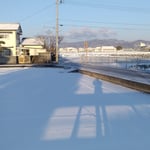 11年ぶりの雪の日の朝は子供たちの歓声で目が覚めました。　　　・子供らの声に目覚めし雪の朝(和良)