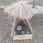 牛岐城公園の岩田公次句碑に藁苞の葉牡丹が飾られていました。　　・寒牡丹ならぬ葉牡丹藁苞に(和良)