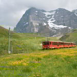 アイガー北壁と登山鉄道を眺めながらのスイスならではのハイキングでした。　　　　　　　　　　　　　　　　　　　・高山の短き夏を競ひ咲く（和良）
