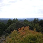 日蓮大聖人が立宗宣言した清澄寺から太平洋が展望できました。　　　　　　　　　　　　　　　　　　　　　　　　　・立宗を宣言せし地初紅葉(和良)