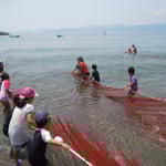北の脇海水浴場の隣では地引網が人気を呼んでいました。　　　　　　　　　　　　　　　　　　　　　　　　　　　　　　・地引網海月を捨てて終はりけり（和良）
