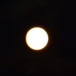 鳴門海峡に上りはじめた中秋の名月は大きく見えました。　　　　・上り初めたる名月の大きさよ（和良）