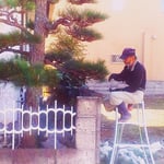 庭師は上から下へ少しづつゆっくりと松の手入れをして行きます。　　　・松手入上から下へ少しづつ(和良)