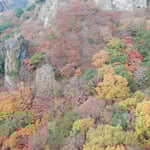 小豆島の寒霞渓のロープウエイから眺めた紅葉は見事でした。　　・渓谷に綾なす錦寒霞渓（和良）