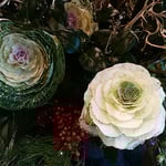 葉牡丹は綺麗な渦が正面に見えるように活けられていました。　・この渦を見てと葉牡丹活けられて（和良）