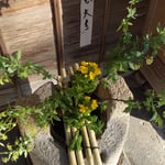 春の花を玄関に生けた和菓子屋さんには老舗の雰囲気がありました。　・菜の花と小手鞠生けてある老舗(和良)