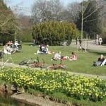 休日のブローニュの森は、どこも家族連れで一杯でした。 ・黄水仙咲きし水辺で憩ひをり（和良）