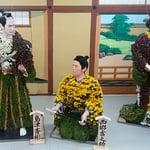 吉野川市鴨島町の菊人形です。今年は人気ドラマの西郷どんでした。　　　・若武者よ菊人形の西郷どんは（和良）