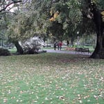 ジュネーブ湖畔のイギリス公園で見た落ち葉です。 ・静けさや光に浮かぶ濡れ落ち葉(和良)