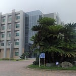 静岡大学浜松キャンパスの玄関にある蘇鉄も緑が鮮やかでした。　　　　・玄関の蘇鉄も緑鮮やかに(和良)