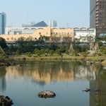 松を雪から守るための雪吊の終って冬支度が整っていました。　　　　　　　　　　　　・雪吊の松それぞれの形かな(和良)