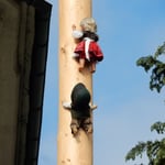 五月柱を登っているのは初夏の来たことを喜ぶ子供の人形でした。　　　　・人形も五月柱を登る初夏（和良）