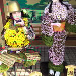 鴨島大菊人形展の菊人形はお互いに視線が合っていませんでした。　　・それぞれに視線の合はず菊人形(和良)