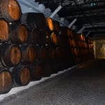 ポルトガルワインの老舗であるサンデルマンのワイナリーです。　・ワイナリー巡ればそぞろ寒くなる（和良）