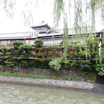 伊東温泉を代表する湯宿として栄華の歴史を刻んで来た東海館です。　　　　　・鉄幹と晶子の湯宿柳散る（和良）