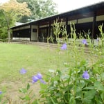 小諸市の懐古園にある島崎藤村記念館です。桔梗が咲いていました。　　　・桔梗咲く島崎藤村記念館（和良）