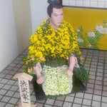 菊人形をよく見ると命をつなぐ水の管が袖口からちらと見えました。　・袖口に水管ちらと菊人形(和良)