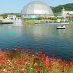 連休に香川県のレオマワールドに行ってきました。　　　　　　　　　　　　　　・遊園地池を巡りてポピー咲く(和良)