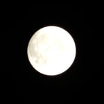 明日の中秋の名月を世界中の人々に見てもらいたいと思いました。　・名月のウクライナにもロシアにも(和良)