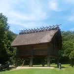 徳島市の阿波史跡公園には復元された高床倉庫があります。　　　　　　　・高床の涼しき道を蟻の行く（和良）