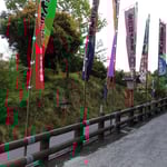 こんぴら歌舞伎大芝居を語りながら幟が立つ道を帰りました。　　　・歌舞伎見る課外授業や子らの初夏(和良)