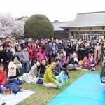 小金井桜まつりには獅子舞などの郷土芸能も出ていました。　　　　　　　　　・縁日のやうなお花見獅子舞も(和良)