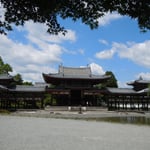 宇治市の平等院鳳凰堂です。外国人の観光客が大勢来ていました。　　　　　　　　・正面に鳳凰堂や青楓(和良)