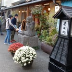 深大寺門前の蕎麦屋さんは江戸時代からの老舗。菊が綺麗でした。　・門前の蕎麦屋の老舗菊の花（和良）