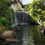 東京のホテルニューオータニの庭園の滝で夕涼みをしました。　　　　・涼しかりホテルの庭の滝なれど(和良)