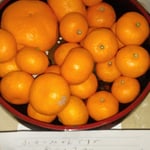 西予市のホテルでは地元産の蜜柑が並べられ食べ放題でした。　　・好きなだけ蜜柑どうぞとあるホテル(和良)