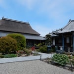 阿波市土成町の神宮寺では牡丹の花が咲いていました。　　・鯱を置く藁葺きの寺牡丹咲く（和良）