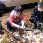 筍山を管理する友人は掘り出した筍の皮を上手に剥いでくれました。　・筍を掘り出し皮も剥いでくれ(和良)