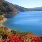 本栖湖は波一つなく青々と澄み渡っていました。　　　　　　　　　　　　・本栖湖の水青々と澄みに澄み(和良)