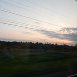 モスクワからサンクトペテルブルグへは白樺の林の中を走りました。　　　・ペテルブルグへ走る車窓の暮早し（和良）