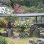 昼神温泉の宿ではまだ百日紅が咲き継いでいました。　　　　　　　　　　　　　　　　　　　　　　　　　　　　　　　　・百日紅咲き継ぐ山の湯宿かな(和良)