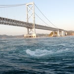 山口県の友人を案内して鳴門の秋の大潮を見てきました。　　　　　　　　　　・渦を見る鳴門の秋の大潮に（和良）