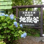 登別温泉の朝、ホテルから歩いて地獄谷まで行ってきました。　　　　　　・紫陽花のまだ残り咲く登別(和良)