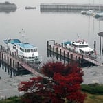 大津ではホテルの窓の露を払うと下に琵琶湖がありました。 ・露けしや大津は湖へいでし街（和良）