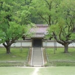 閑谷学校には「学問の木」といわれる楷の大樹が茂っていました。　　　　　　　　　　　　　　　　　　　　　　　　　　・楷若葉樹齢白寿の輝きよ(和良)