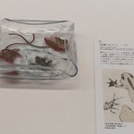 エミール・ガレの蛙の絵は葛飾北斎の蛙の絵とそっくりでした。　　　・北斎よガレよと過ごす秋一と日(和良)