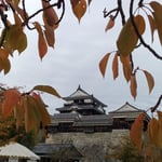 松山城のロープウエイにはマドンナ姿のガイドが乗っていました。・マドンナのロープウエイにも冬温し(和良)