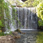 東京のホテルニューオータニの庭園には大きな滝もありました。　　　　・涼風に誘はれ滝に立ち寄りぬ(和良)