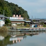 近江八幡市で水郷巡りをしました。約1時間舟で巡ってきました。　　　　　　　　・水郷を巡る近江の秋晴れに（和良）