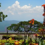 タガイタイのホテルの庭にはカンナが色鮮やかに咲いていました。　　　　　　・フィリピンの花は真っ赤や雲の峰(和良)