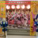 新型コロナウイルス感染症のために阿波踊が中止になりました。　・コロナ禍の今年ないのよ阿波踊（和良）